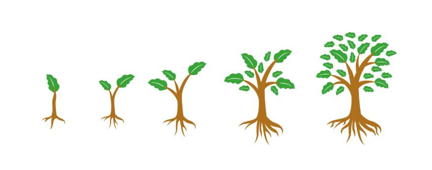 植物生長(zhǎng)