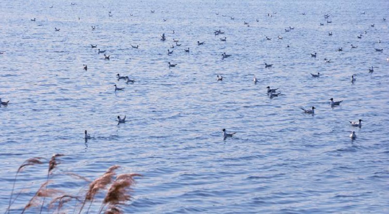 指紋鎖生產(chǎn)廠家