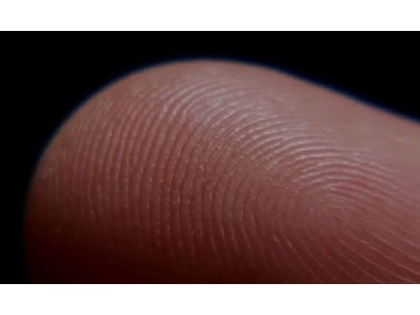 關于半導體生物指紋頭，你需要知道這些